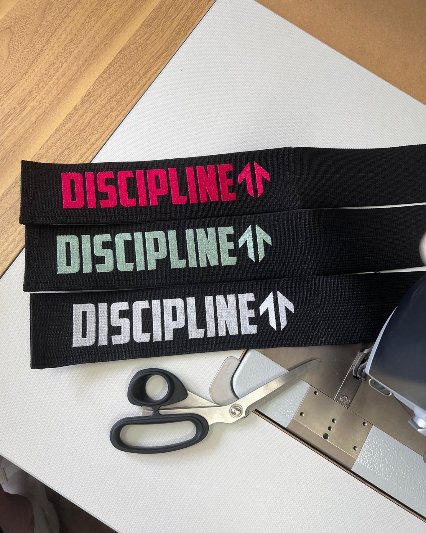 DISCIPLINE
